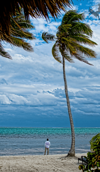 Belize image