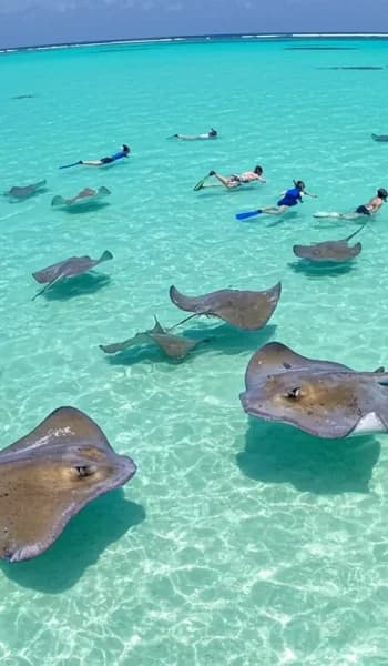 Cayman Islands image