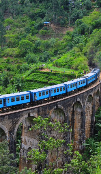 Sri Lanka image