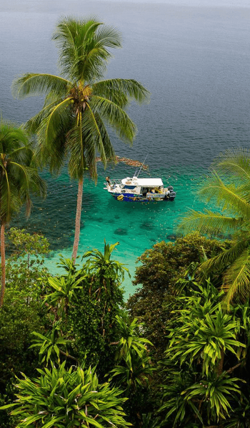 Papua New Guinea image
