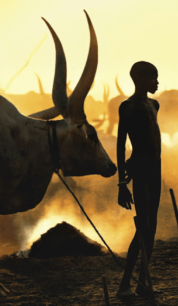 South Sudan image