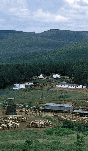 Eswatini image
